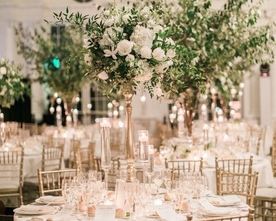 boda clasica - alianzas exclusivas